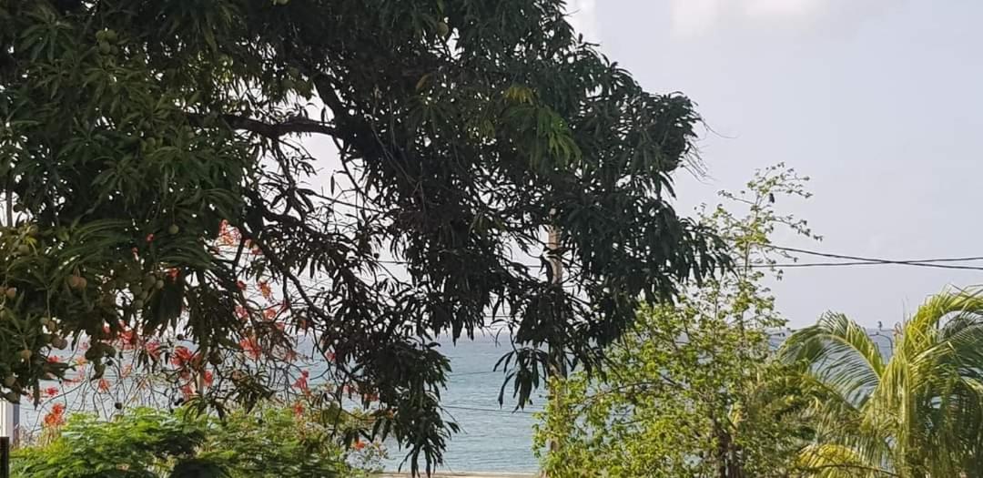 Ti Paillettes Calme vue mer et plage à 50 m Le Diamant Extérieur photo